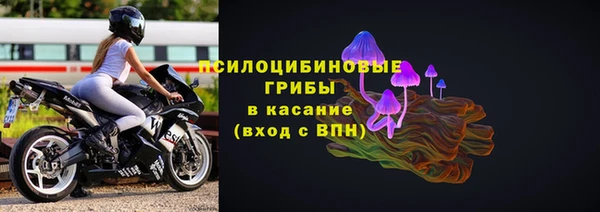 шишки Абдулино