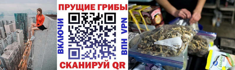 kraken рабочий сайт  Ржев  Псилоцибиновые грибы ЛСД 